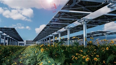 Galvanized Steel for Large-Scale Solar Farms: Cost- Effective Solution for Utility-Scale Projects