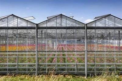 How to Buy Agricultural Galvanized Steel from China:A Complete Guide